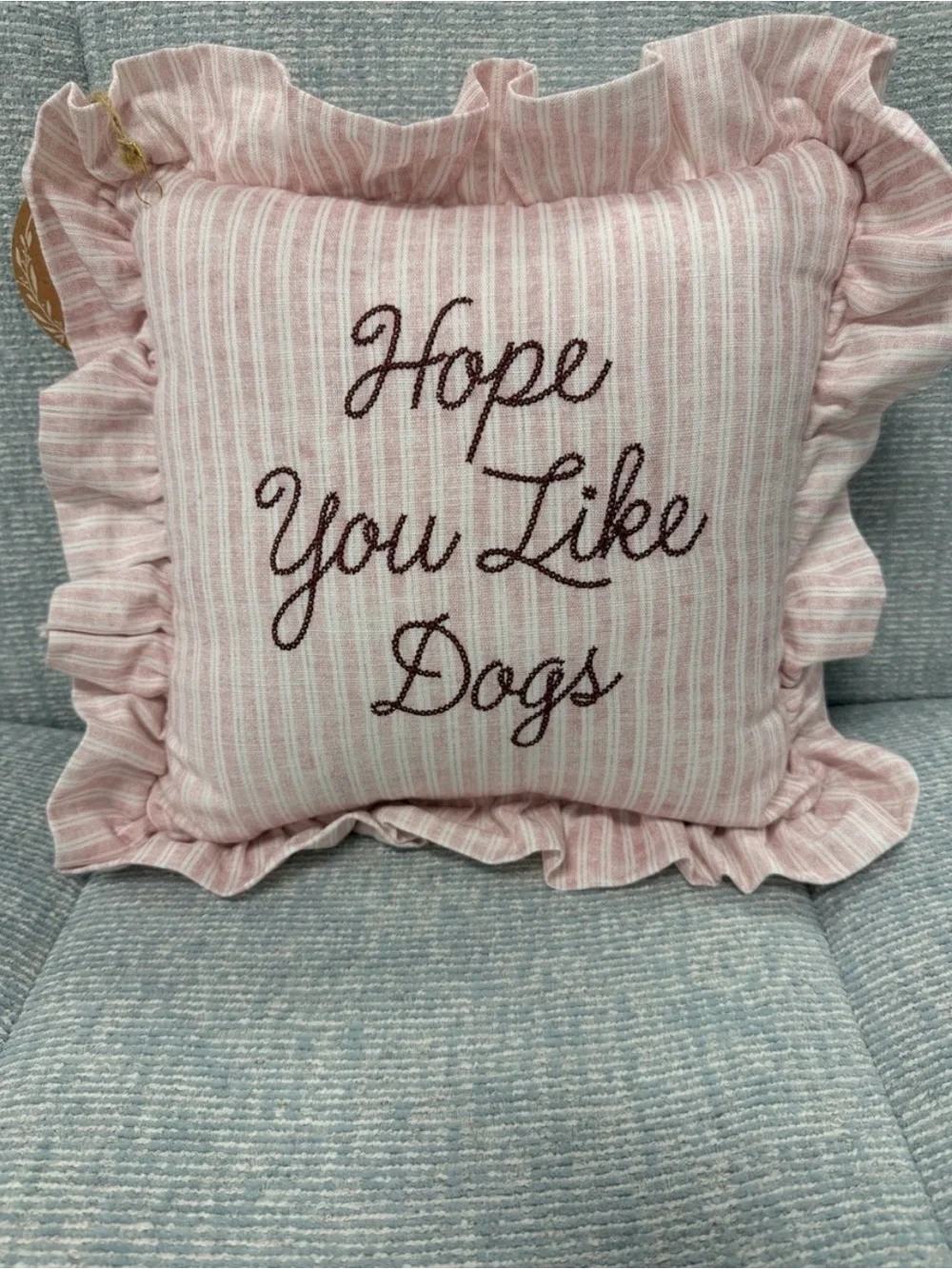 Hope You Like Dogs Pink Ruffle Throw Pillow